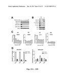 PLATELET-DERIVED GROWTH FACTOR RECEPTOR MUTATIONS AND COMPOSITIONS AND     METHODS RELATING THERETO diagram and image