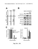 PLATELET-DERIVED GROWTH FACTOR RECEPTOR MUTATIONS AND COMPOSITIONS AND     METHODS RELATING THERETO diagram and image