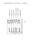 CATALYST SYSTEM FOR THE POLYMERISATION AND/OR OLIGOMERISATION OF OLEFINS     AND PROCESS UTILIZING THE CATALYST SYSTEM diagram and image