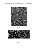 CONDUCTIVE PARTICLE AND PREPARATION METHOD THEREOF, CONDUCTIVE ADHESIVE     AND DISPLAY DEVICE diagram and image