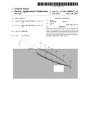 Rifle Bullet diagram and image