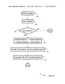 LOSS-RESILIENT PROTOCOLS FOR COMMUNICATION NETWORKS diagram and image