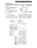 SYSTEM AND METHOD FOR BRIDGING TO A LTE WIRELESS COMMUNICATION NETWORK diagram and image