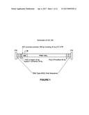 ADENO-ASSOCIATED VIRUS FACTOR VIII VECTORS diagram and image