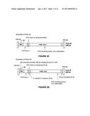 ADENO-ASSOCIATED VIRUS FACTOR VIII VECTORS diagram and image