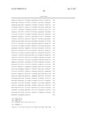 ADENO-ASSOCIATED VIRUS FACTOR VIII VECTORS diagram and image