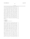 ADENO-ASSOCIATED VIRUS FACTOR VIII VECTORS diagram and image