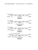 ADENO-ASSOCIATED VIRUS FACTOR VIII VECTORS diagram and image