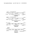 ADENO-ASSOCIATED VIRUS FACTOR VIII VECTORS diagram and image