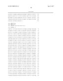 ADENO-ASSOCIATED VIRUS FACTOR VIII VECTORS diagram and image