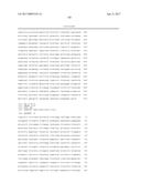 ADENO-ASSOCIATED VIRUS FACTOR VIII VECTORS diagram and image