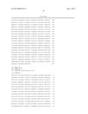 ADENO-ASSOCIATED VIRUS FACTOR VIII VECTORS diagram and image