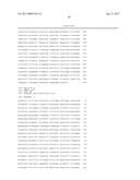 ADENO-ASSOCIATED VIRUS FACTOR VIII VECTORS diagram and image