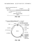 METHOD FOR REDUCING VISCOSITY IN SACCHARIFICATION PROCESS diagram and image