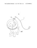 RECOVERY PET COLLAR diagram and image