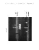 ELIMINATION OF PATHOGENIC INFECTION IN FARMED ANIMAL POPULATIONS diagram and image