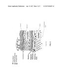 SKIN-PENETRATING FORMULATION OF TAUROLIDINE diagram and image