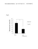 THERAPEUTIC AGENT FOR OCULAR FUNDUS DISEASE diagram and image