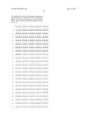 Nucleic Acid Encoding Anti-IL13 Human Antibodies diagram and image