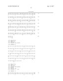 Nucleic Acid Encoding Anti-IL13 Human Antibodies diagram and image
