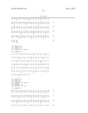 Nucleic Acid Encoding Anti-IL13 Human Antibodies diagram and image