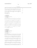 Nucleic Acid Encoding Anti-IL13 Human Antibodies diagram and image