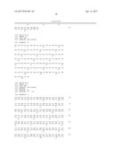 Nucleic Acid Encoding Anti-IL13 Human Antibodies diagram and image