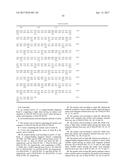 Nucleic Acid Encoding Anti-IL13 Human Antibodies diagram and image