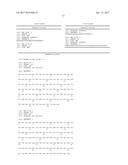 HUMAN-MOUSE CHIMERIC ANTI-CD147 ANTIBODY WITH NON-FUCOSYLATED     GLYCOSYLATION diagram and image