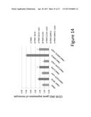 ANTI-CANCER EFFECTS OF JAK2 INHIBITORS IN COMBINATION WITH THALIDOMIDE     DERIVATIVES AND GLUCOCORTICOIDS diagram and image