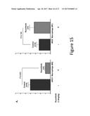 ANTI-CANCER EFFECTS OF JAK2 INHIBITORS IN COMBINATION WITH THALIDOMIDE     DERIVATIVES AND GLUCOCORTICOIDS diagram and image