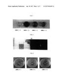 METHODS FOR STERILIZING, DEGRADING A POLLUTANT AND PROVIDING LUMINESCENCE     USING A FENTON REACTION CATALYST diagram and image