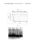 METHODS FOR STERILIZING, DEGRADING A POLLUTANT AND PROVIDING LUMINESCENCE     USING A FENTON REACTION CATALYST diagram and image