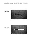 FUNCTIONAL MATERIAL, METHOD FOR PRODUCING FUNCTIONAL MATERIAL, AND     FUNCTIONAL LIQUID diagram and image