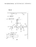 MICROFLUIDIC CARTRIDGES AND APPARATUS WITH INTEGRATED ASSAY CONTROLS FOR     ANALYSIS OF NUCLEIC ACIDS diagram and image