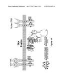 ACTIVATING NTRK1 GENE FUSIONS PREDICTIVE OF KINASE INHIBITOR THERAPY diagram and image