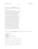 VEGFR2/Ang2 Compounds diagram and image