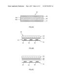 WAVELENGTH CONVERSION MEMBER, COMPACT, WAVELENGTH CONVERSION APPARATUS,     SHEET MEMBER, LIGHT EMITTING APPARATUS, LIGHT GUIDE APPARATUS AND DISPLAY     APPARATUS diagram and image