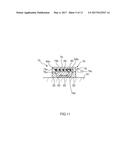 WAVELENGTH CONVERSION MEMBER, COMPACT, WAVELENGTH CONVERSION APPARATUS,     SHEET MEMBER, LIGHT EMITTING APPARATUS, LIGHT GUIDE APPARATUS AND DISPLAY     APPARATUS diagram and image