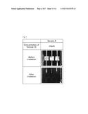 LIQUID-CRYSTAL DISPLAY DEVICE AND PROCESS FOR PRODUCING LIQUID-CRYSTAL     DISPLAY DEVICE diagram and image