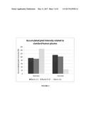 PRODUCTION OF RECOMBINANT VON WILLEBRAND FACTOR IN A BIOREACTOR diagram and image