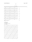 PRODUCTION OF RECOMBINANT VON WILLEBRAND FACTOR IN A BIOREACTOR diagram and image