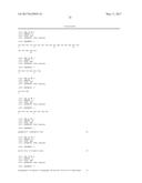 HUMAN CYTOMEGALOVIRUS NEUTRALIZING ANTIBODIES AND USE THEREOF diagram and image