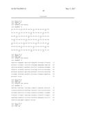 HUMAN CYTOMEGALOVIRUS NEUTRALIZING ANTIBODIES AND USE THEREOF diagram and image