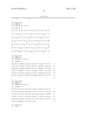 HUMAN CYTOMEGALOVIRUS NEUTRALIZING ANTIBODIES AND USE THEREOF diagram and image