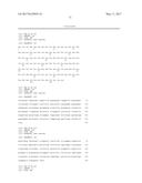 HUMAN CYTOMEGALOVIRUS NEUTRALIZING ANTIBODIES AND USE THEREOF diagram and image