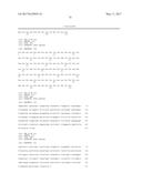 HUMAN CYTOMEGALOVIRUS NEUTRALIZING ANTIBODIES AND USE THEREOF diagram and image