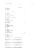 HUMAN CYTOMEGALOVIRUS NEUTRALIZING ANTIBODIES AND USE THEREOF diagram and image