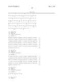 HUMAN CYTOMEGALOVIRUS NEUTRALIZING ANTIBODIES AND USE THEREOF diagram and image