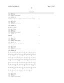 HUMAN CYTOMEGALOVIRUS NEUTRALIZING ANTIBODIES AND USE THEREOF diagram and image